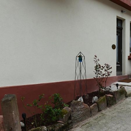 Le Gite Des Sources: Nature, Randonnees, Detente. Oberbronn Exteriér fotografie