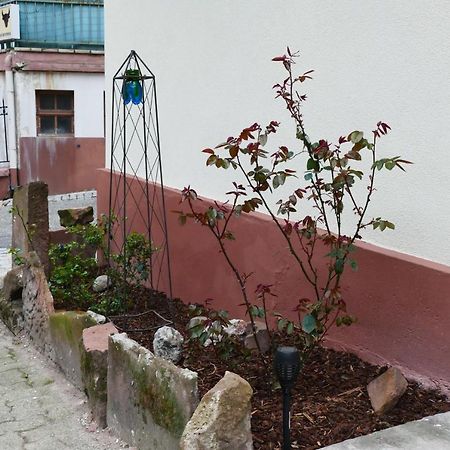 Le Gite Des Sources: Nature, Randonnees, Detente. Oberbronn Exteriér fotografie