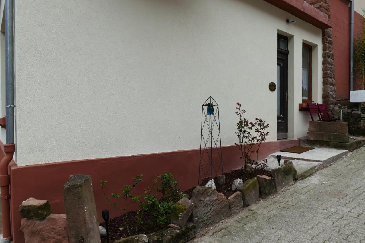 Le Gite Des Sources: Nature, Randonnees, Detente. Oberbronn Exteriér fotografie