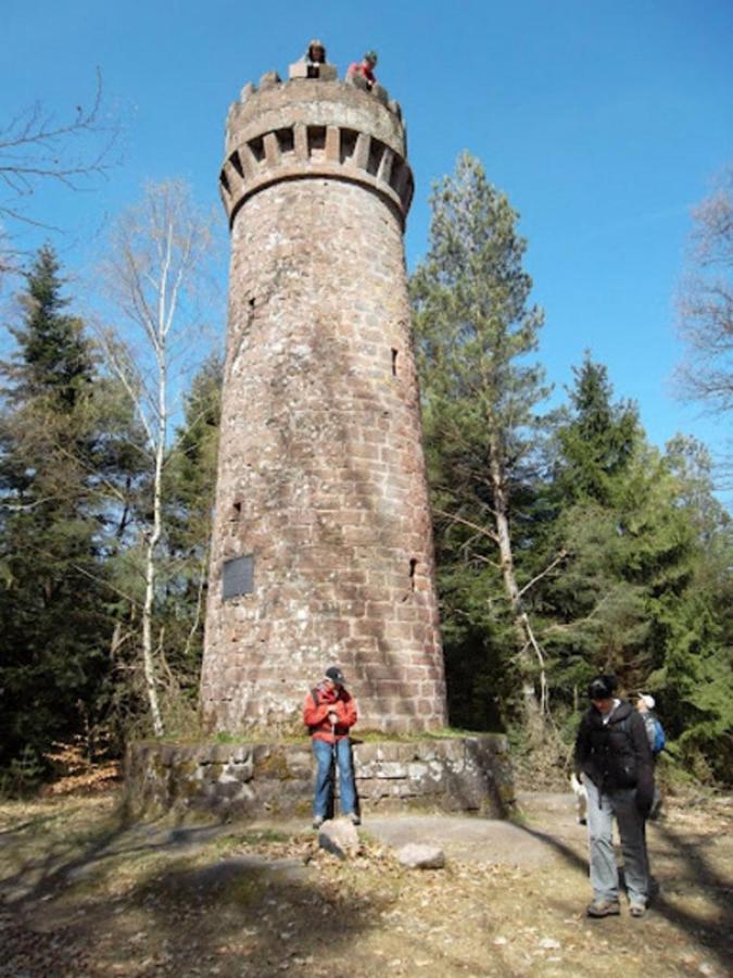 Le Gite Des Sources: Nature, Randonnees, Detente. Oberbronn Exteriér fotografie